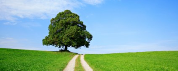 Supervision, Coaching, Beratung, Gießen, Hessen