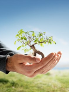 Supervision, Coaching, Beratung, Gießen, Hessen